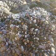2014-01-17 PointReyesCamping 018 : 2014-01-17_PointReyesCamping